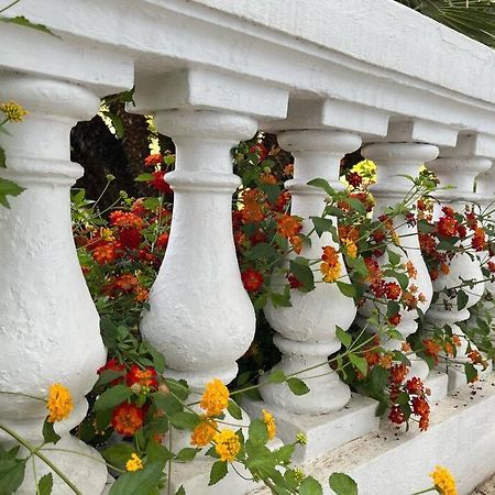 Beautiful Garden Apartment Steps From The Beach Menton Exterior photo